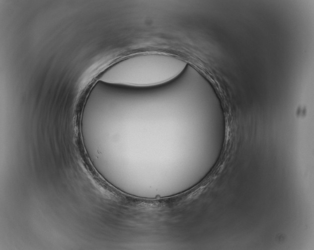 X0000112100245200908041119