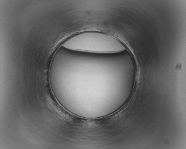 X0000112100249200908041119