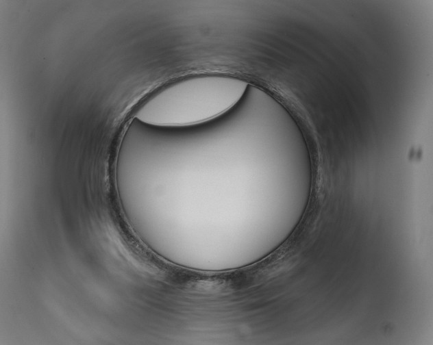 X0000112100251200908041119