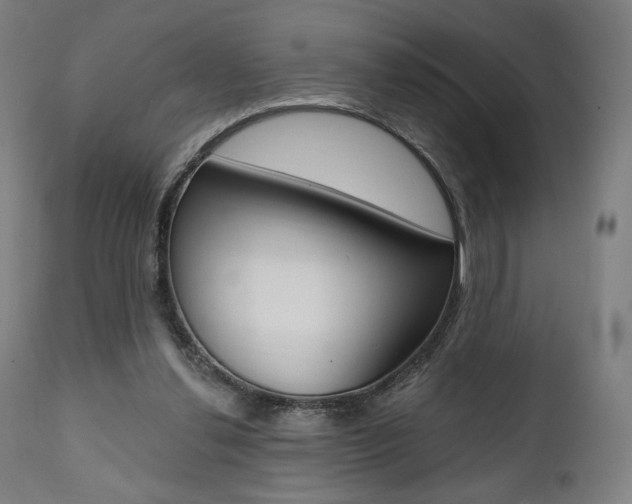 X0000112100252200908041119
