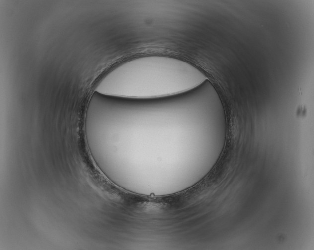X0000112100255200908041119