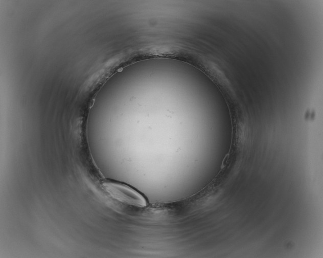 X0000112100260200908041119