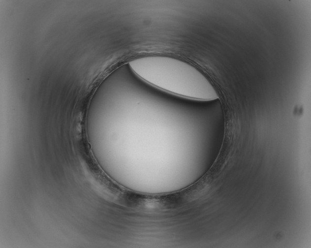X0000112100264200908041119