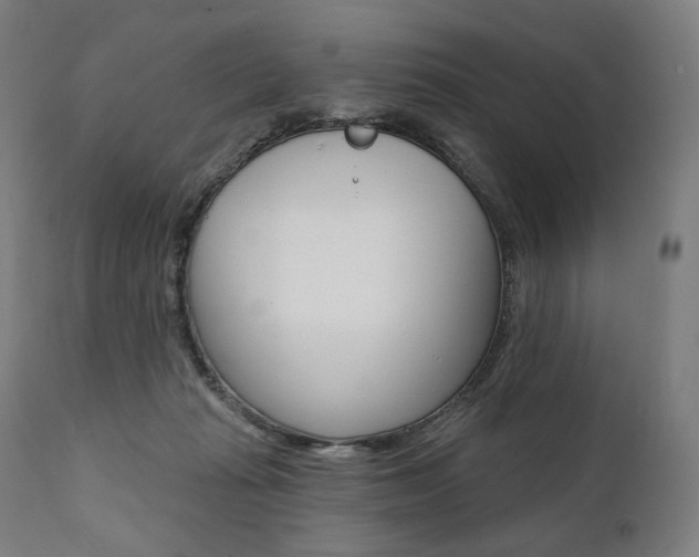 X0000112100269200908041119