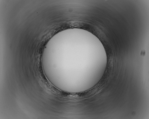 X0000112100271200908041119