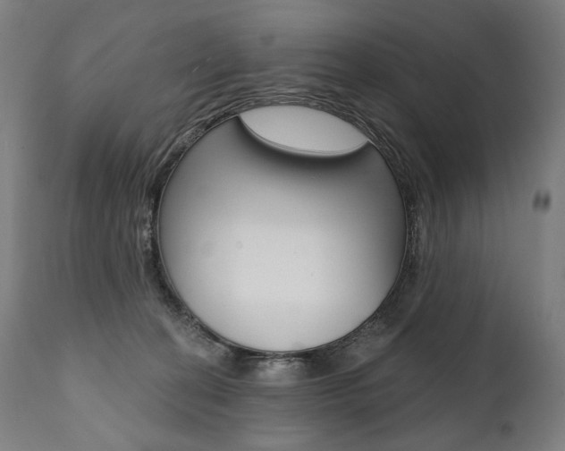 X0000112100274200908041119