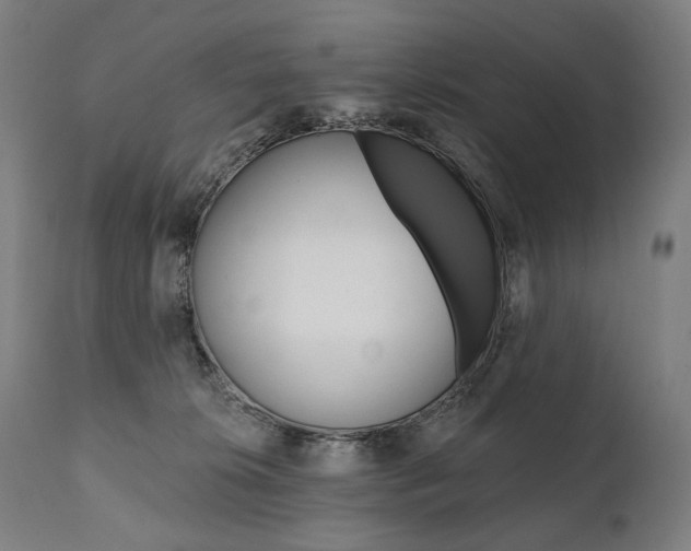 X0000112100276200908041119