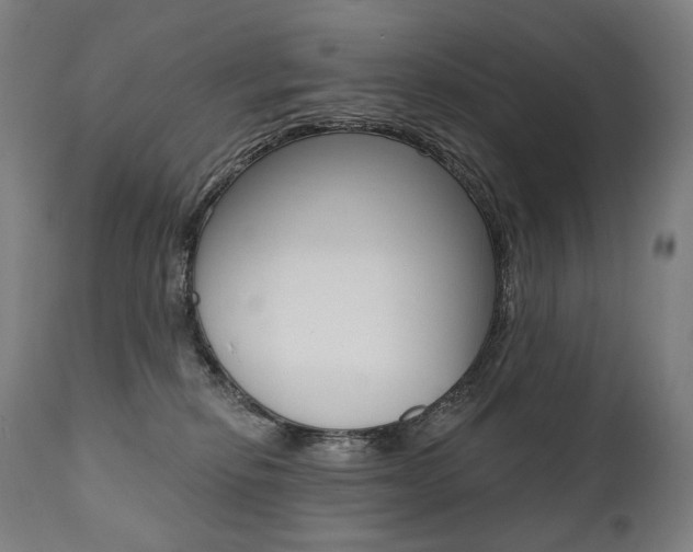 X0000112100278200908041119