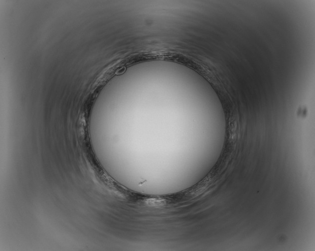 X0000112100279200908041119