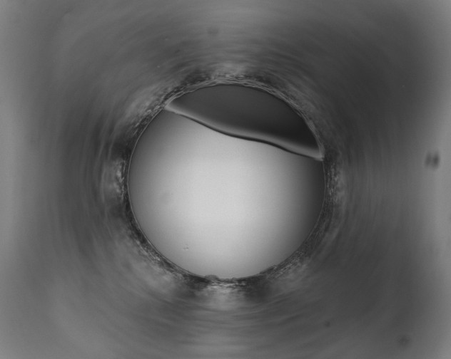 X0000112100280200908041119