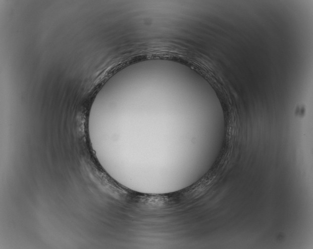 X0000112100282200908041120