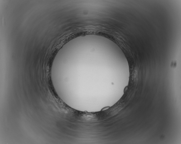 X0000112100283200908041120