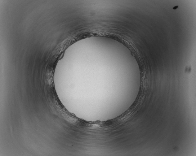 X0000112100285200908041120