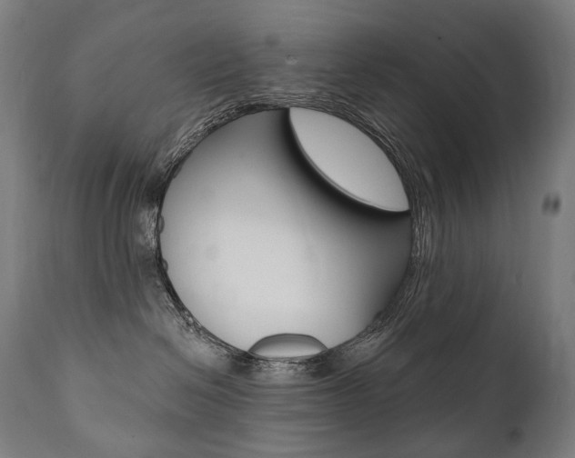 X0000112100286200908041120