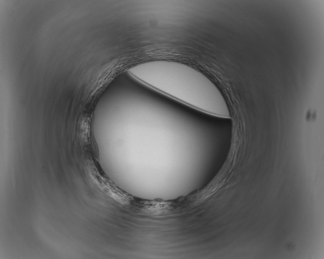 X0000112100288200908041120