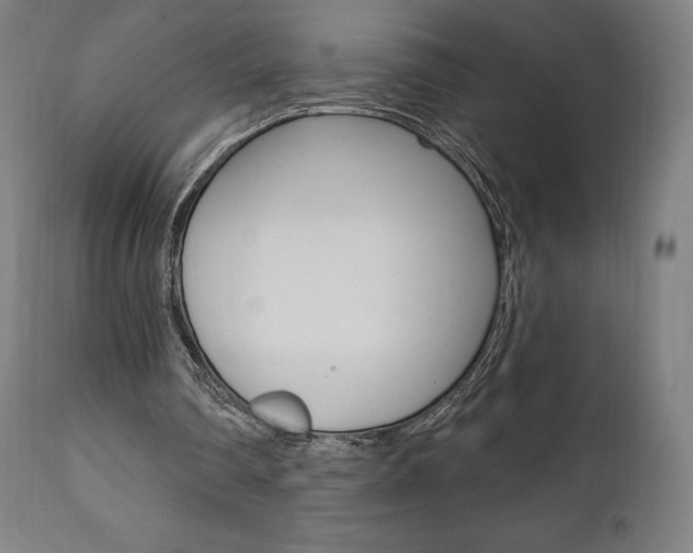 X0000112100290200908041119