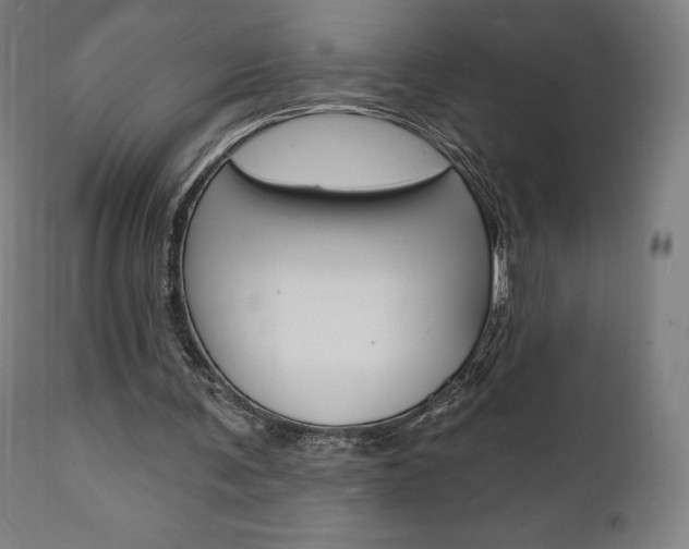 X0000112100291200908041119