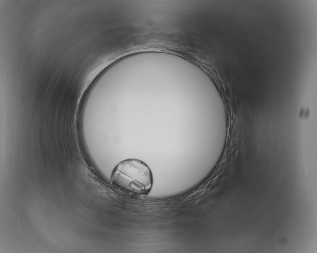 X0000112100292200908041119