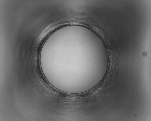 X0000112100295200908041119
