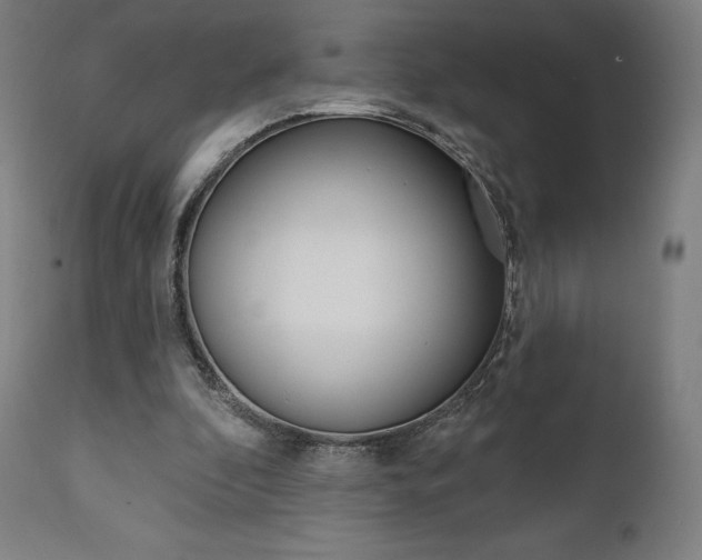 X0000112100296200908041119