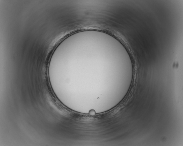 X0000112100298200908041119