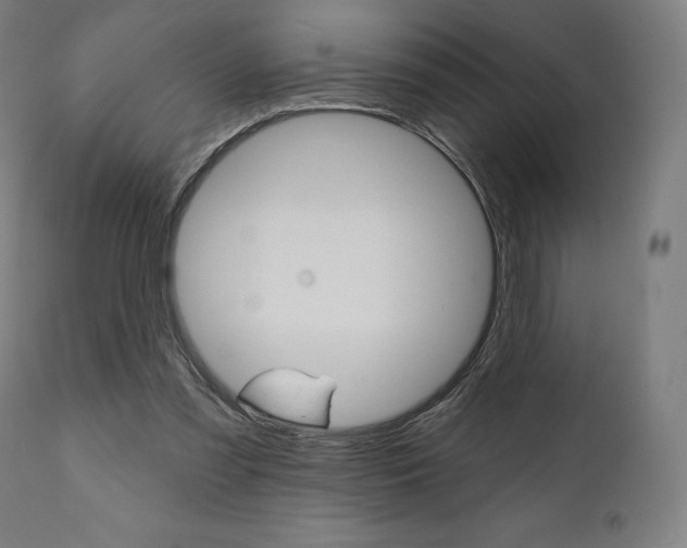 X0000112100301200908041119