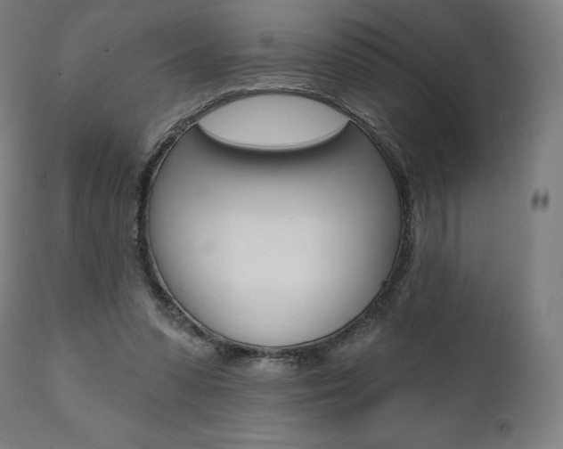 X0000112100303200908041119