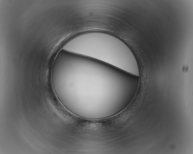X0000112100304200908041119