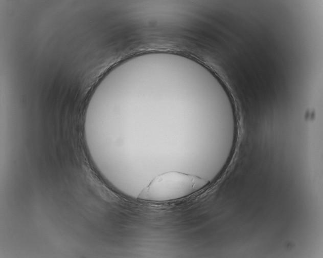 X0000112100305200908041119