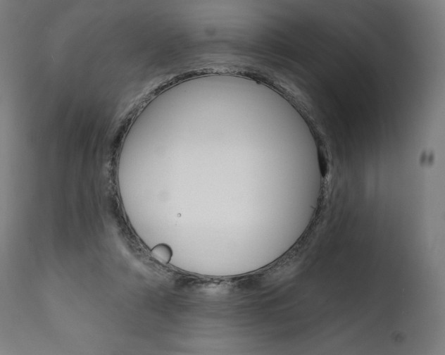 X0000112100306200908041119