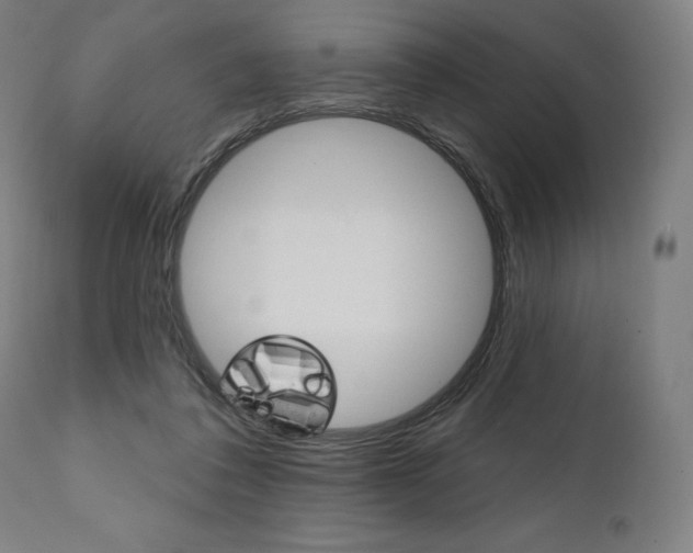 X0000112100308200908041118