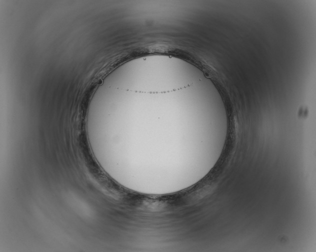 X0000112100311200908041118
