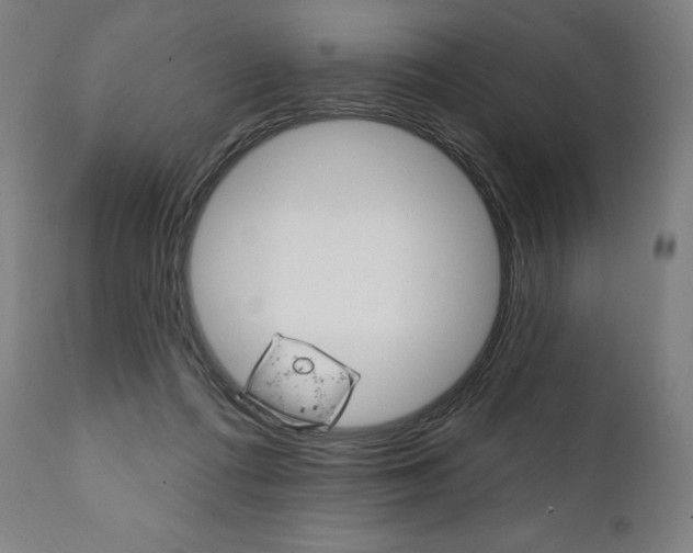 X0000112100312200908041118