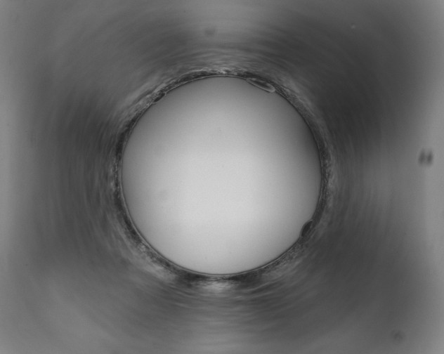 X0000112100313200908041118