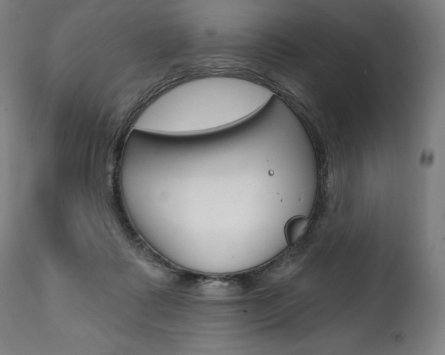 X0000112100315200908041118