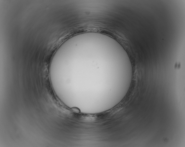 X0000112100318200908041118
