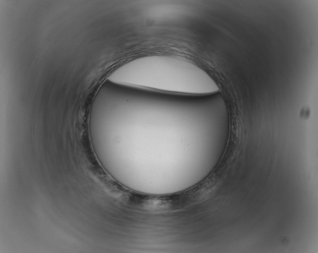 X0000112100319200908041118
