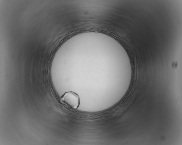 X0000112100320200908041118