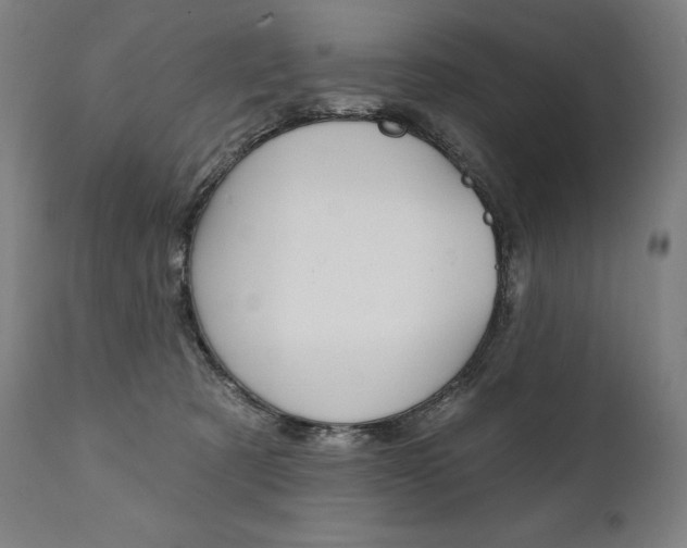 X0000112100321200908041118