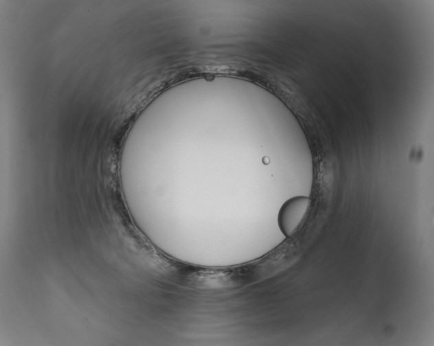X0000112100322200908041118