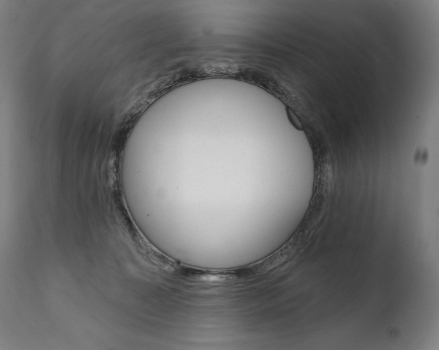 X0000112100323200908041118