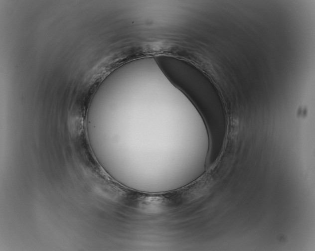 X0000112100324200908041118