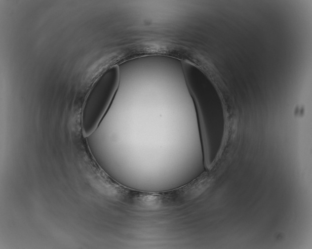 X0000112100325200908041118