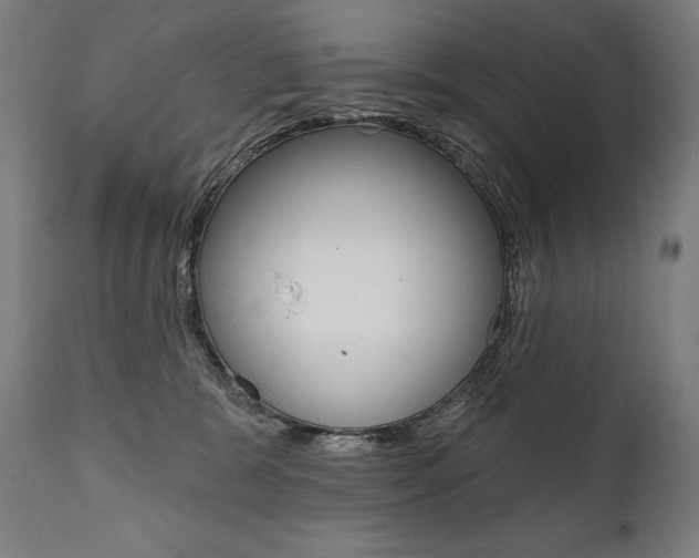 X0000112100327200908041118