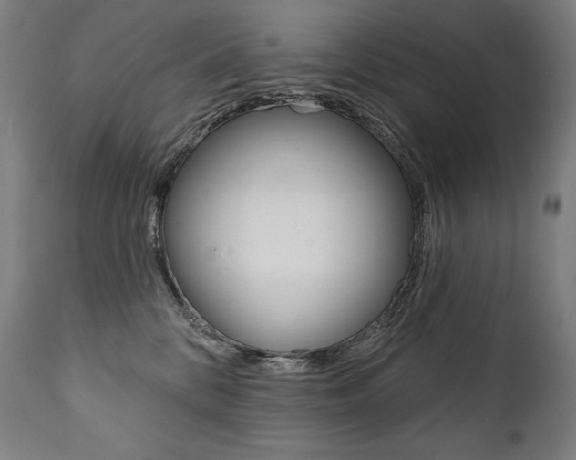 X0000112100328200908041118