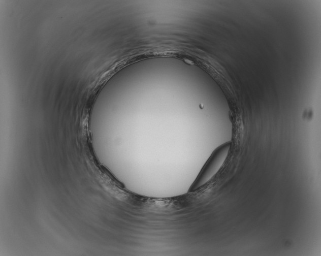 X0000112100329200908041118