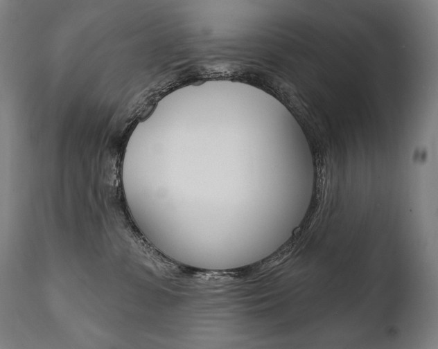 X0000112100331200908041118