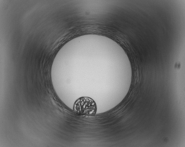 X0000112100332200908041118