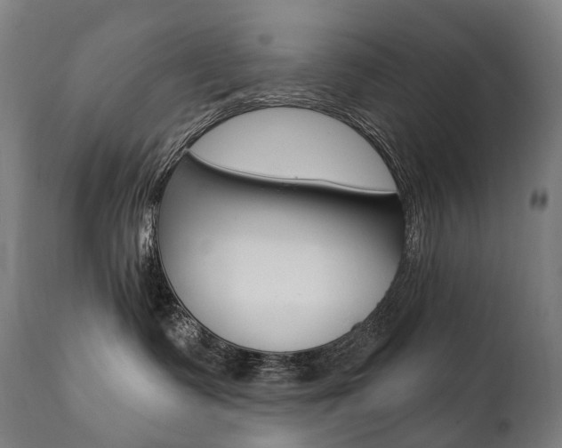 X0000112100335200908041118