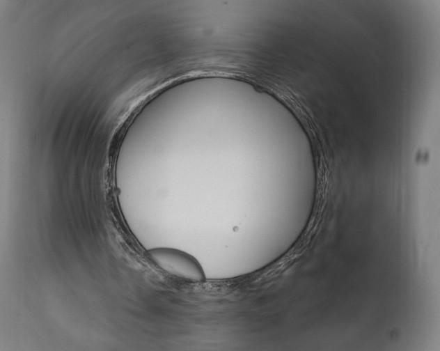 X0000112100338200908041117